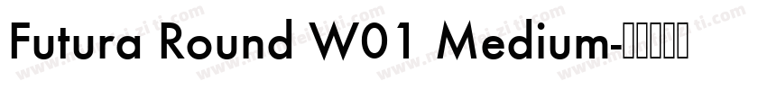 Futura Round W01 Medium字体转换